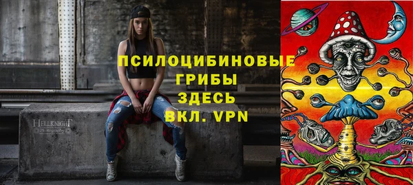 хмурый Алексеевка