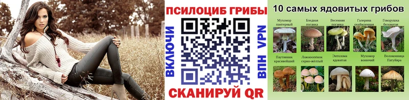 Галлюциногенные грибы Magic Shrooms  сколько стоит  Правдинск 